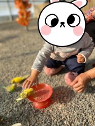 点击看大图 -萌宠亲子动物乐园(槐房万达店)