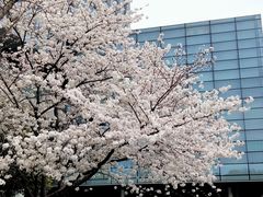 -同济大学(地铁站)