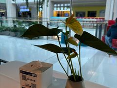 -眉州东坡(华联万柳店)