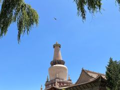 -张掖大佛寺景区