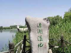 -溱湖国家湿地公园