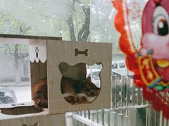 -暖阳宠物医院·犬猫康复中心·骨科