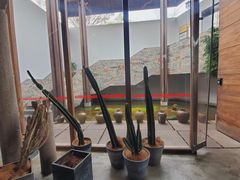 -几荷·恰似故人来(秀水广场店)