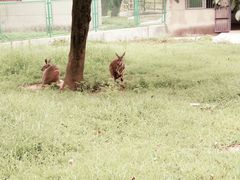 -西安秦岭野生动物园