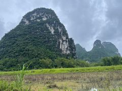 -明仕田园