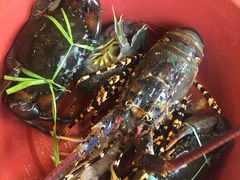 -真浪花园海鲜餐馆