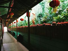 -窄巷子陕菜馆·地道陕西菜(粉巷店)