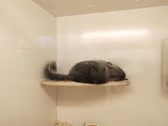 -龙猫仔乐园(惠福东路店)