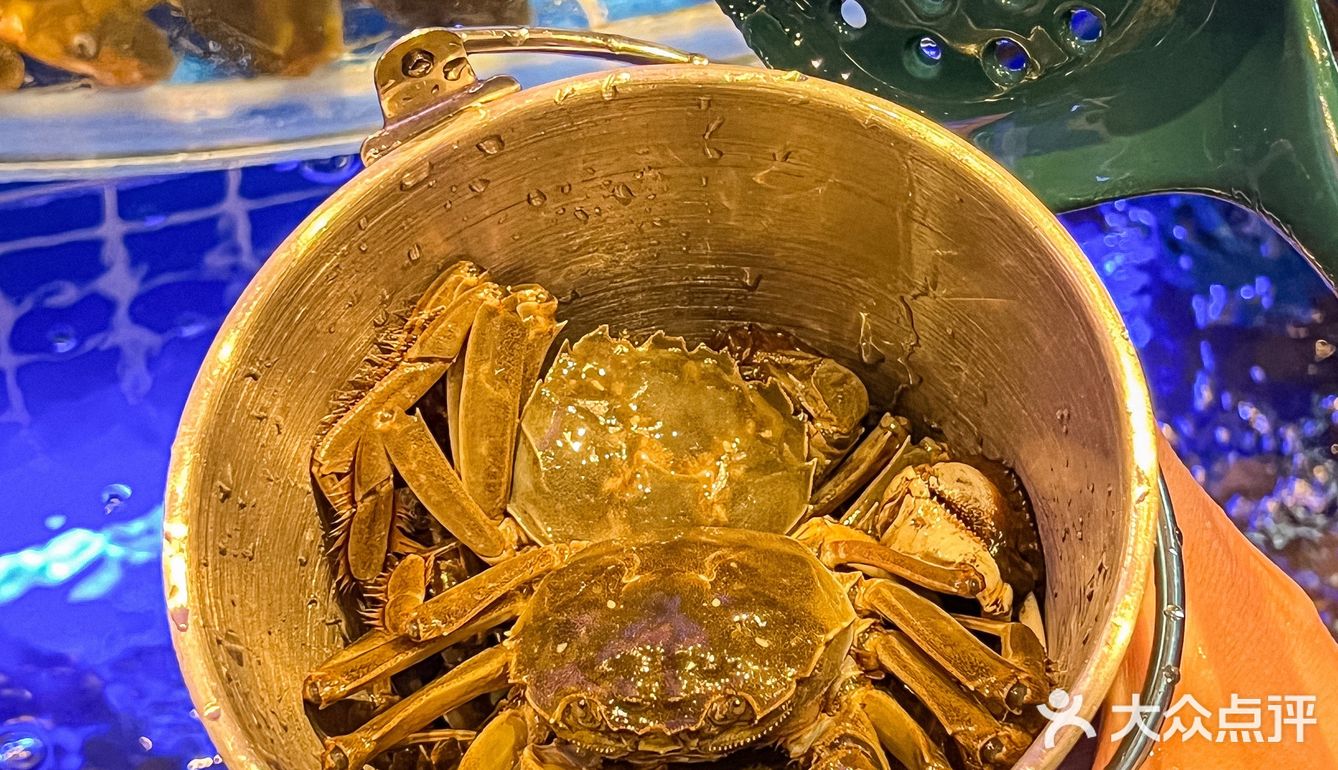自助餐#艾特你的饭搭子请你吃 海鲜自助攻略