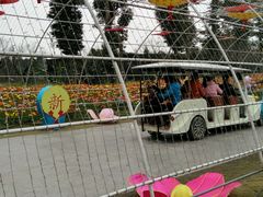 -秀丽东方