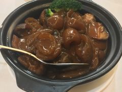 鲍汁花菇扣辽参-东江海鲜酒家(艺都分店)