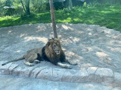 -北京野生动物园