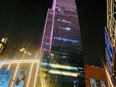 -上海龙之梦万丽酒店