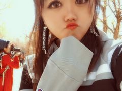 -金塔沙漠胡杨林景区