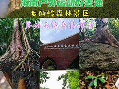 -七仙岭温泉国家森林公园