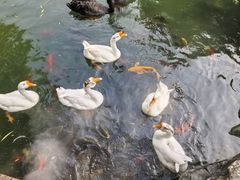 -天毓山庄·餐厅