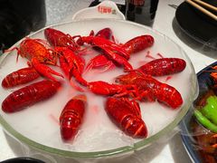 -红盔甲·小龙虾(天钥桥店)