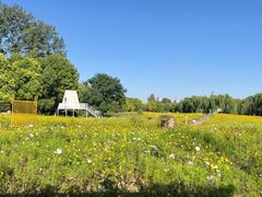 -祥源·阜阳生态乐园