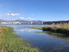 -洱海月湿地公园