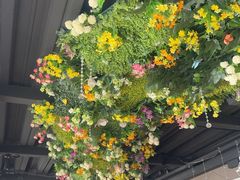 -食悦江南·淮扬菜·烤鸭(亚运村·惠新店)