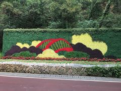 -金鸡山公园