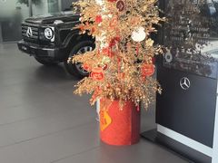 -奔驰利星行(北京花乡店)