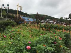 景点-铜川市金锁关石林