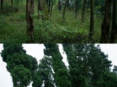 -金堂县云顶石城风景区