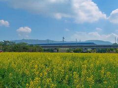 -光明小镇欢乐田园