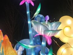 -武汉园博园(武汉自然博物馆)