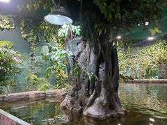 -上海大自然野生昆虫馆(东方明珠·爬宠昆虫探索中心)