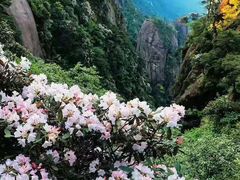 -三清山风景名胜区