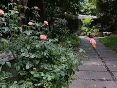 -花锦堂·隐庐
