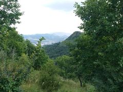 -玉泉威虎山森林公园