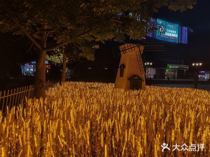 奈雪的茶(漫广场店)图片