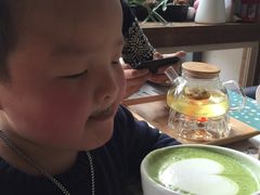 抹茶拿铁-吉丁鸟咖·异宠·寄养