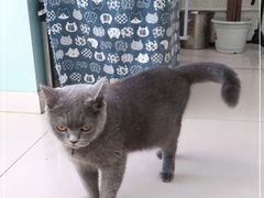 -平行世界·猫咖(首经贸店)