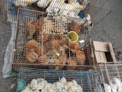 -团泊镇示范集贸市场