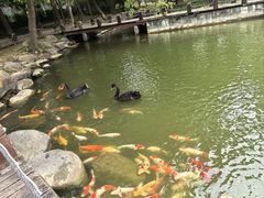 -万佛湖风景区