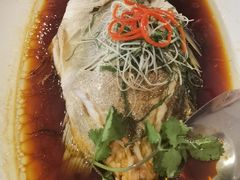 清蒸桂鱼-南景饭店(万家丽路店)