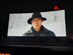 -枫花园汽车电影院(朝阳公园店)