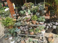 -瑞丽觉觉味道·异国风情(瑞丽大道店)