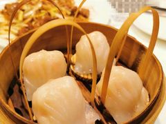 -金鼎轩(亚运村店)