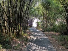 -羚羊峡古栈道森林公园