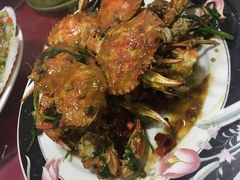 -小叶大馅饺子城