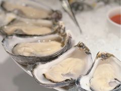 -Oyster Talks 四度蚝法餐厅
