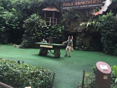 -新加坡飞禽公园