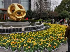 -新湖明珠城