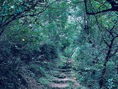 -云峰山自然风景区