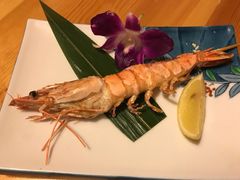 -上海浦东假日酒店